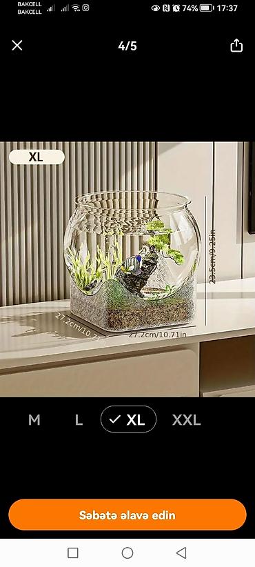 Yumru akvarium, Boş, 5 l, Ödənişli çatdırılma - şəkil 4