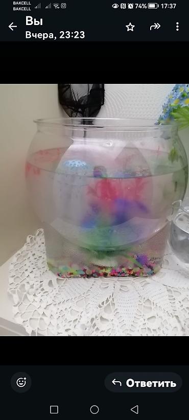 Yumru akvarium, Boş, 5 l, Ödənişli çatdırılma - şəkil 5