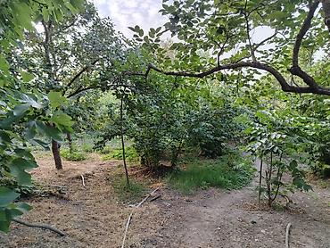 Xaçmaz, 120 kv. m, 4 otaqlı, Hovuzsuz, Su - şəkil 4