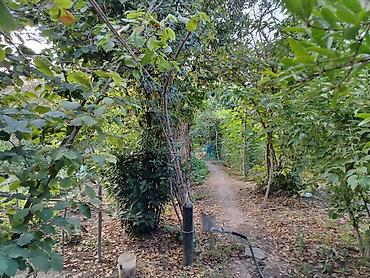 Xaçmaz, 120 kv. m, 4 otaqlı, Hovuzsuz, Su - şəkil 5