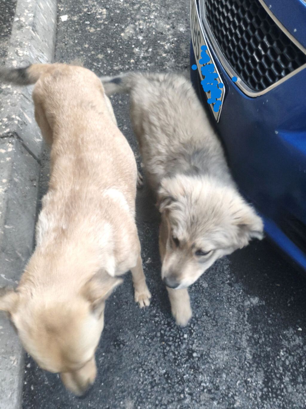 Pulsuz çatdırılma - şəkil 5