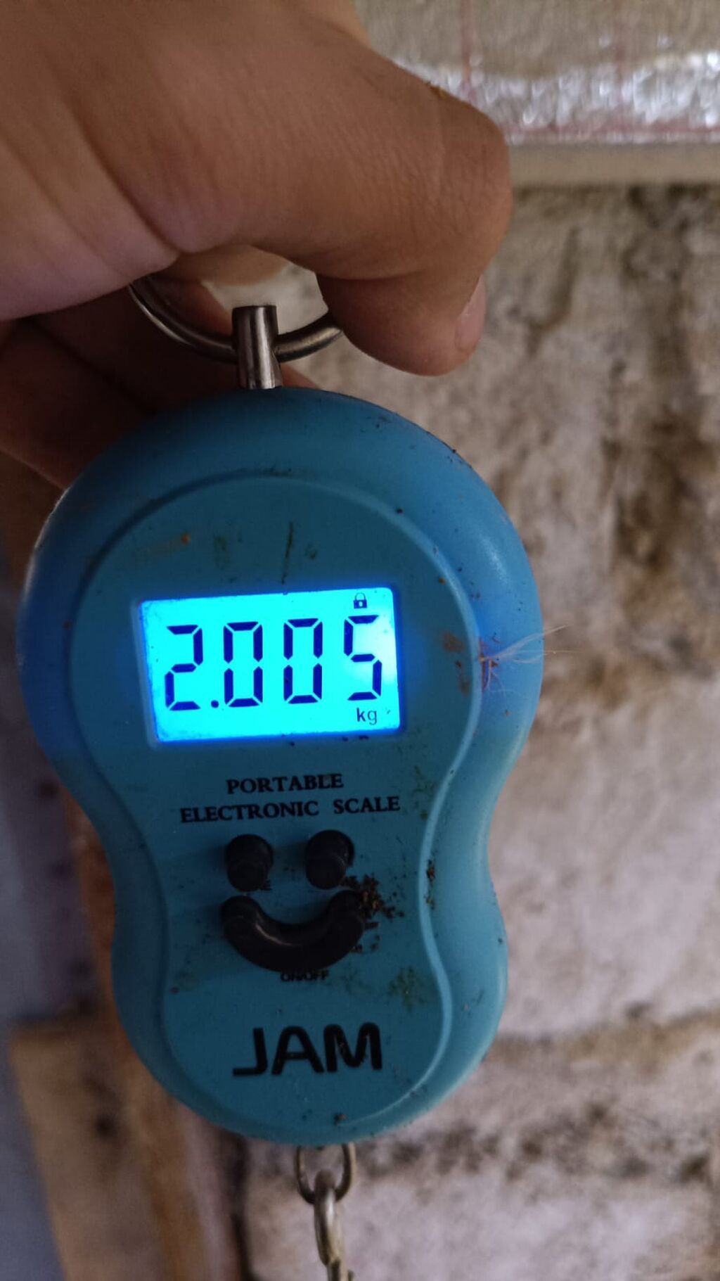 Təbii Qırmızı Sasso Çolpaları – Cəmi 12 AZN! 🐔 Tam sağlam, təbii - şəkil 2