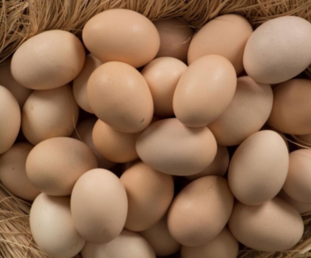 50 qəpik Mayalı yumurta satışıdır yumurtaların mayalı olmağına söz ola