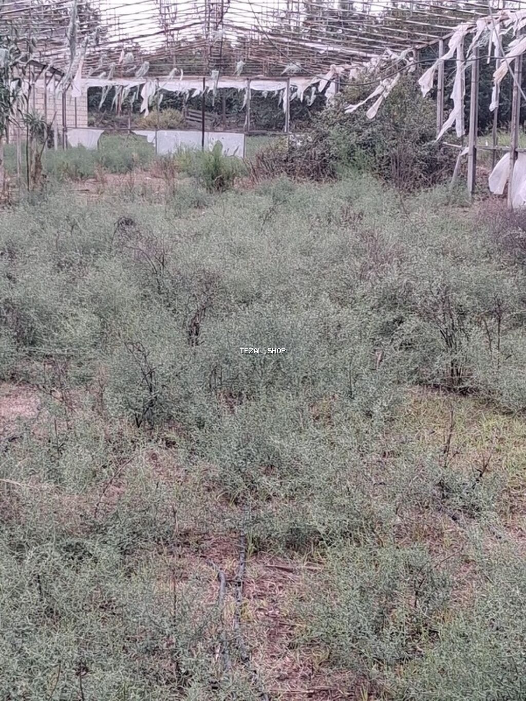 Sökülmüş istixana konstruksiyası - Metal karkaslı istixana çərçivəsi - şəkil 4