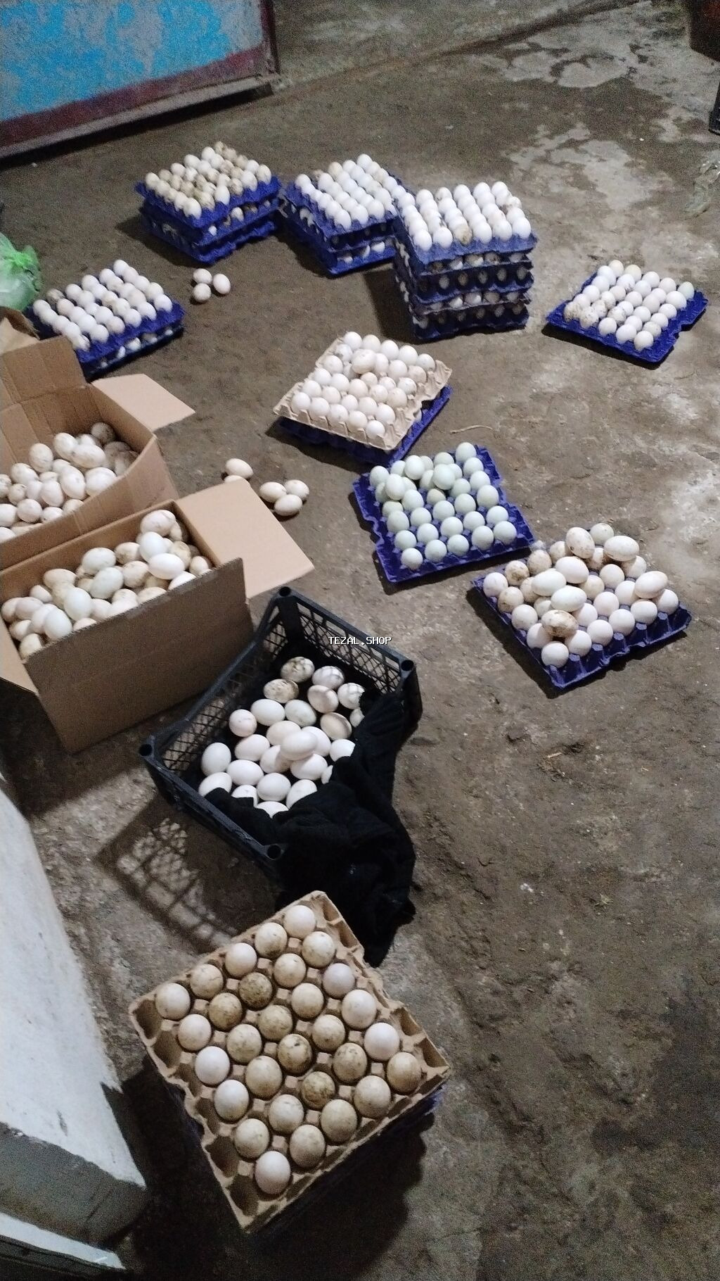 Satış üçün: ördək yumurtası inkubator üçün . 100 300 arasi zakaza 32