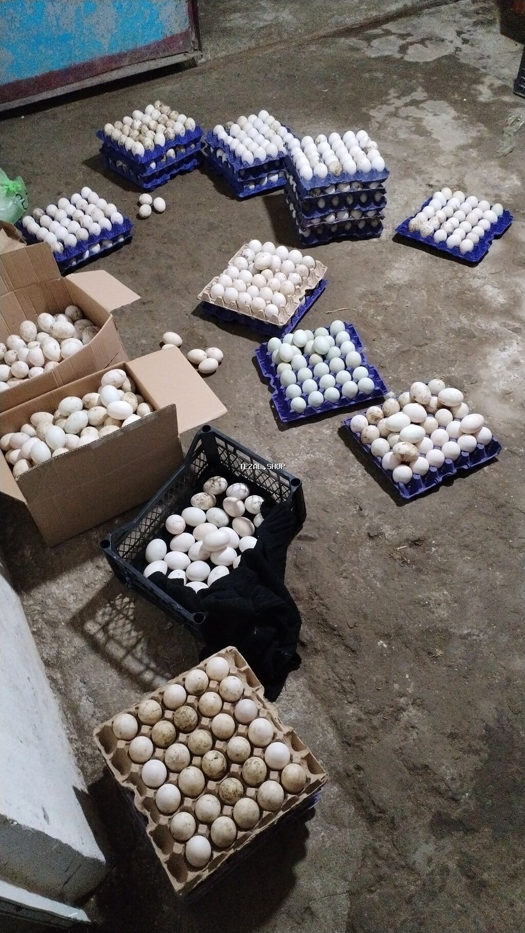 Satış üçün: ördək yumurtası inkubator üçün . 100 300 arasi zakaza 32 - şəkil 2