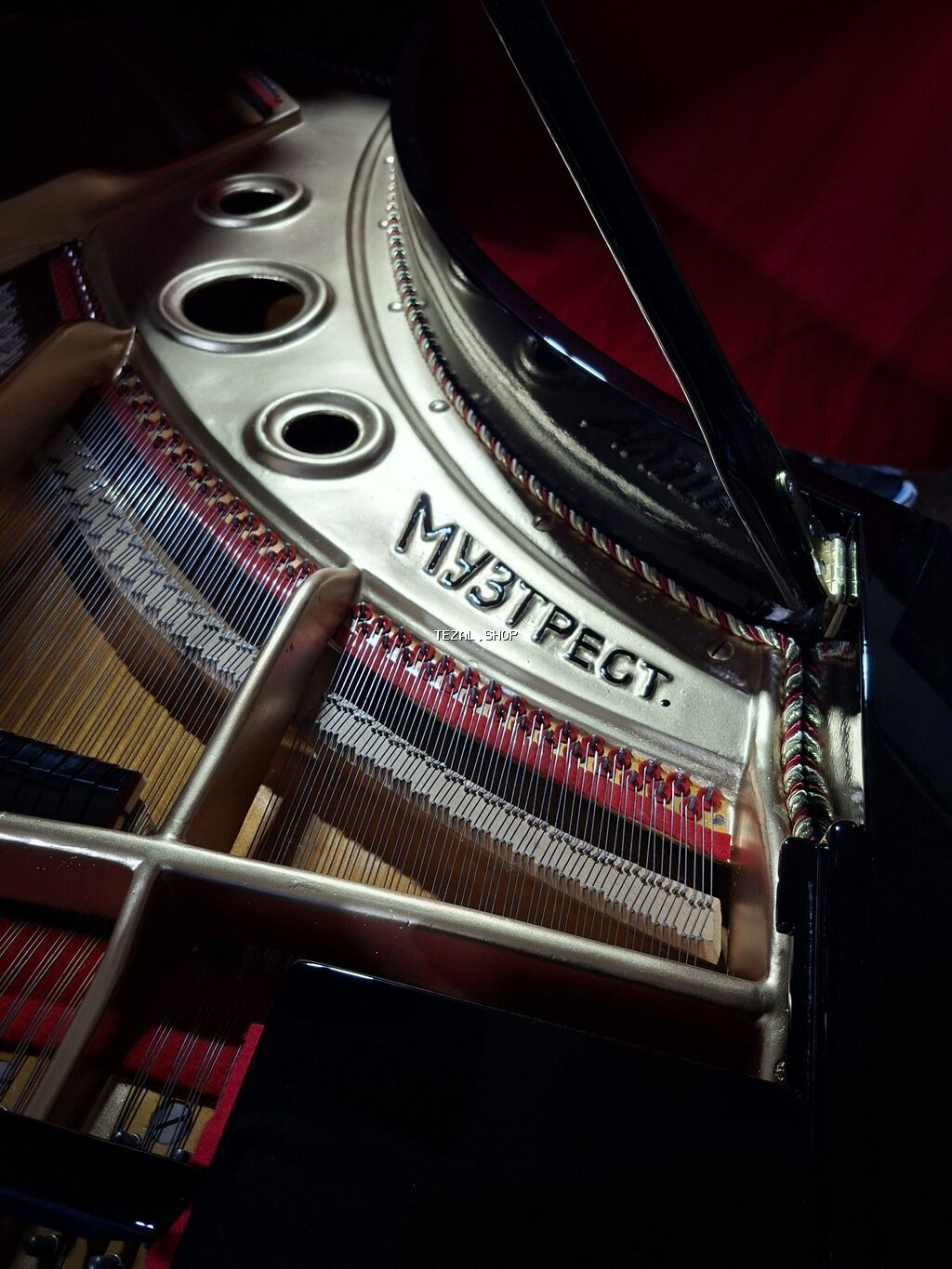 Royal, Akustik - şəkil 4