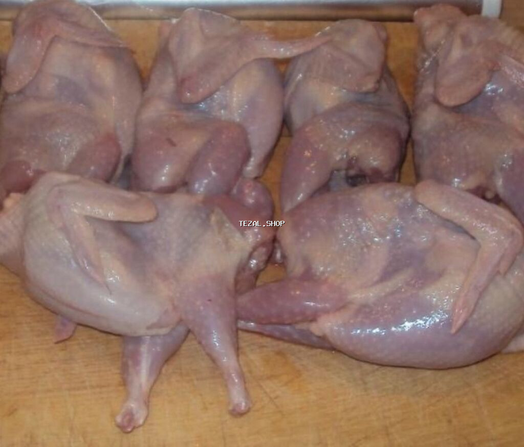 🔥 DİQQƏT! KEYFİYYƏTLİ BAKI BILDIRCİNƏLƏRİ SATIŞDA! 🔥 Təzə, sağlam və