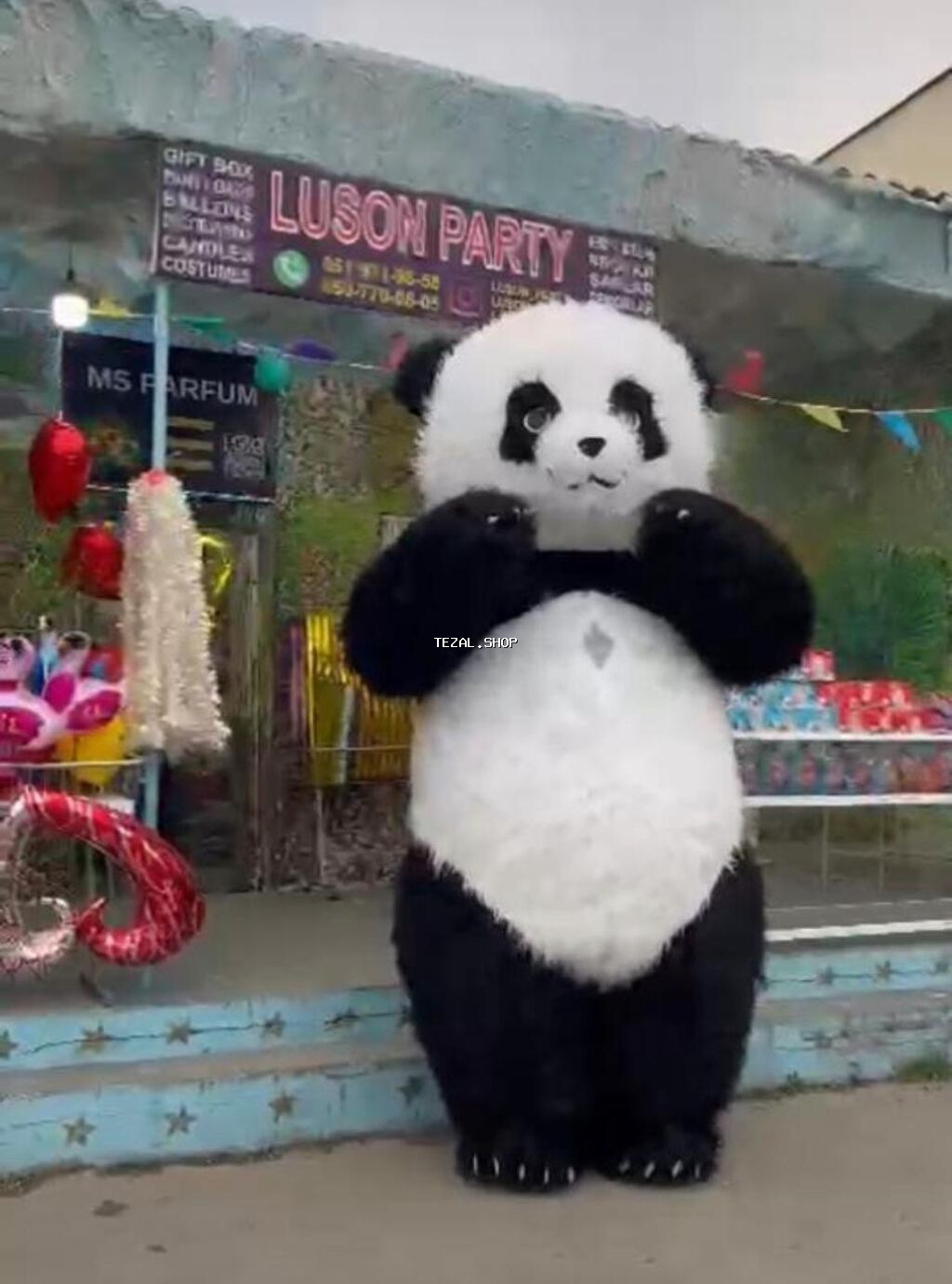 Panda maskotu – tədbirlər üçün - Realistik panda obrazında tam boy