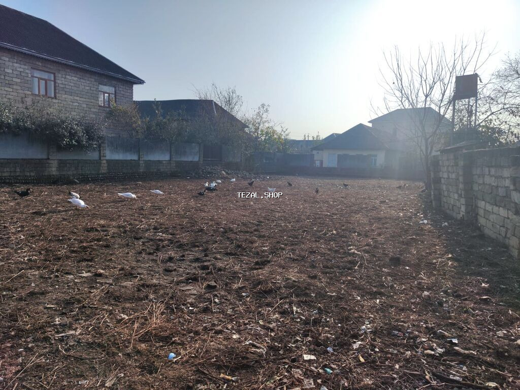 10 sot, Tikinti, Mülkiyyətçi, Kupça (Çıxarış)