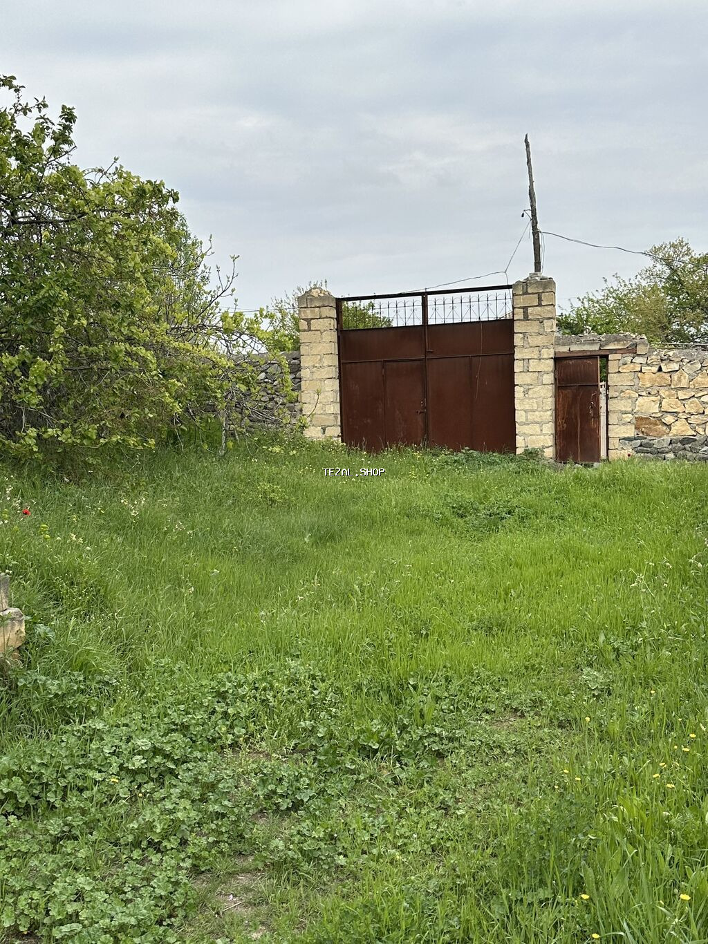 31 sot, Tikinti, Mülkiyyətçi, Kupça (Çıxarış)