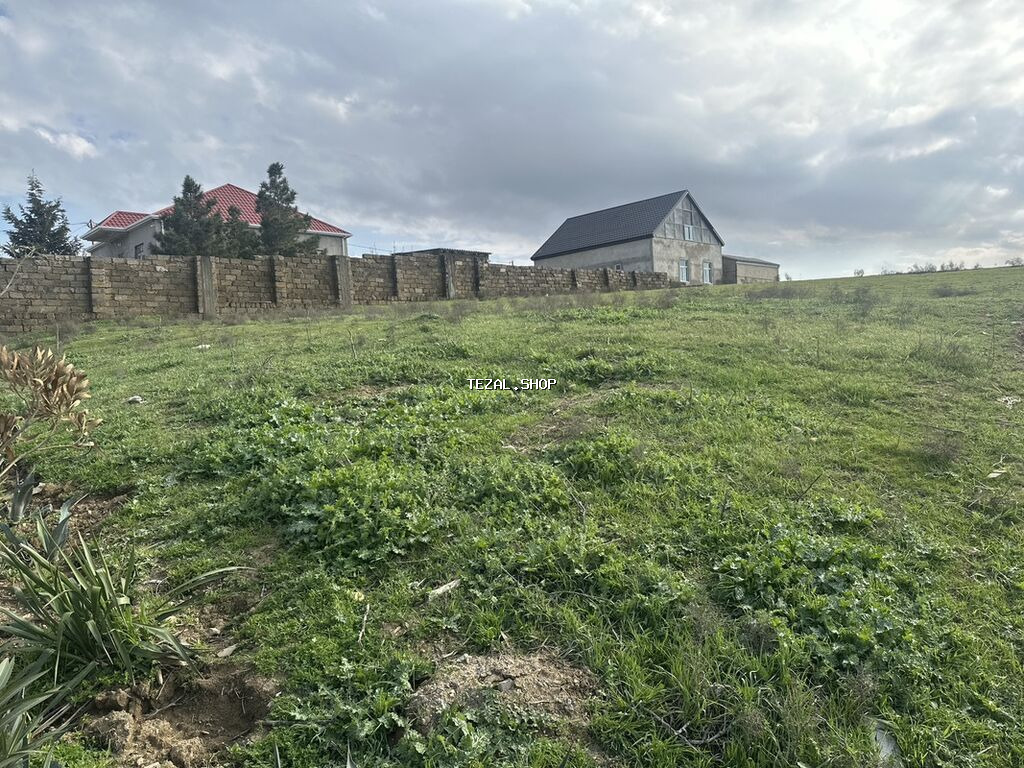 10 sot, Tikinti, Mülkiyyətçi, Kupça (Çıxarış), Texniki pasport - şəkil 4