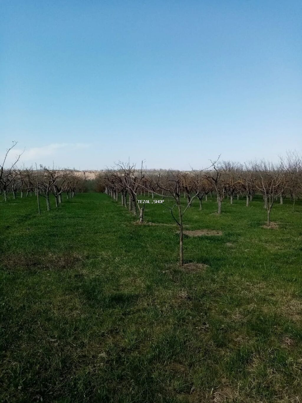 160 sot, Kənd təsərrüfatı, Mülkiyyətçi, Kupça (Çıxarış)