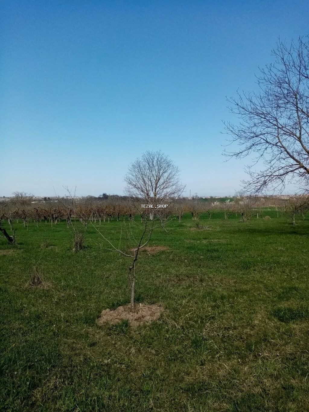 160 sot, Kənd təsərrüfatı, Mülkiyyətçi, Kupça (Çıxarış) - şəkil 2