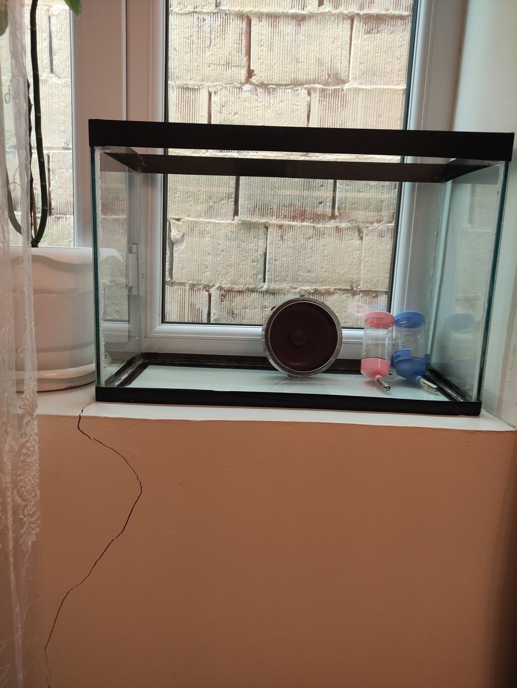 Şüşə akvarium komplekti - Düzbucaqlı, şəffaf şüşə akvarium, qara