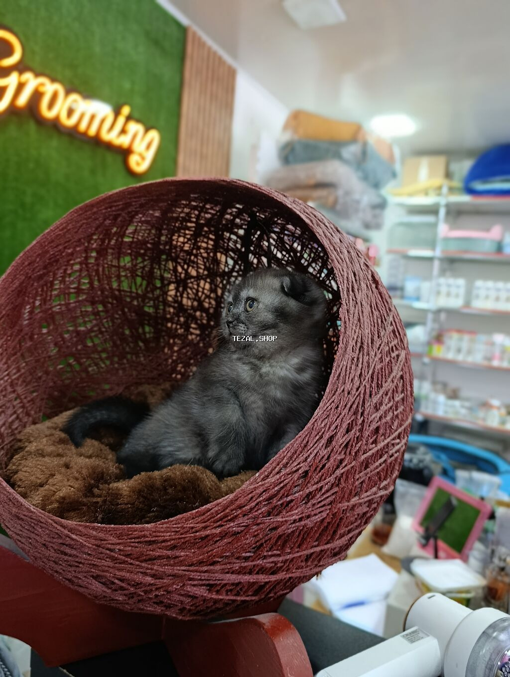 Rahat pişik beşiyi – sferik asma yataq - Material: toxunmuş iplə