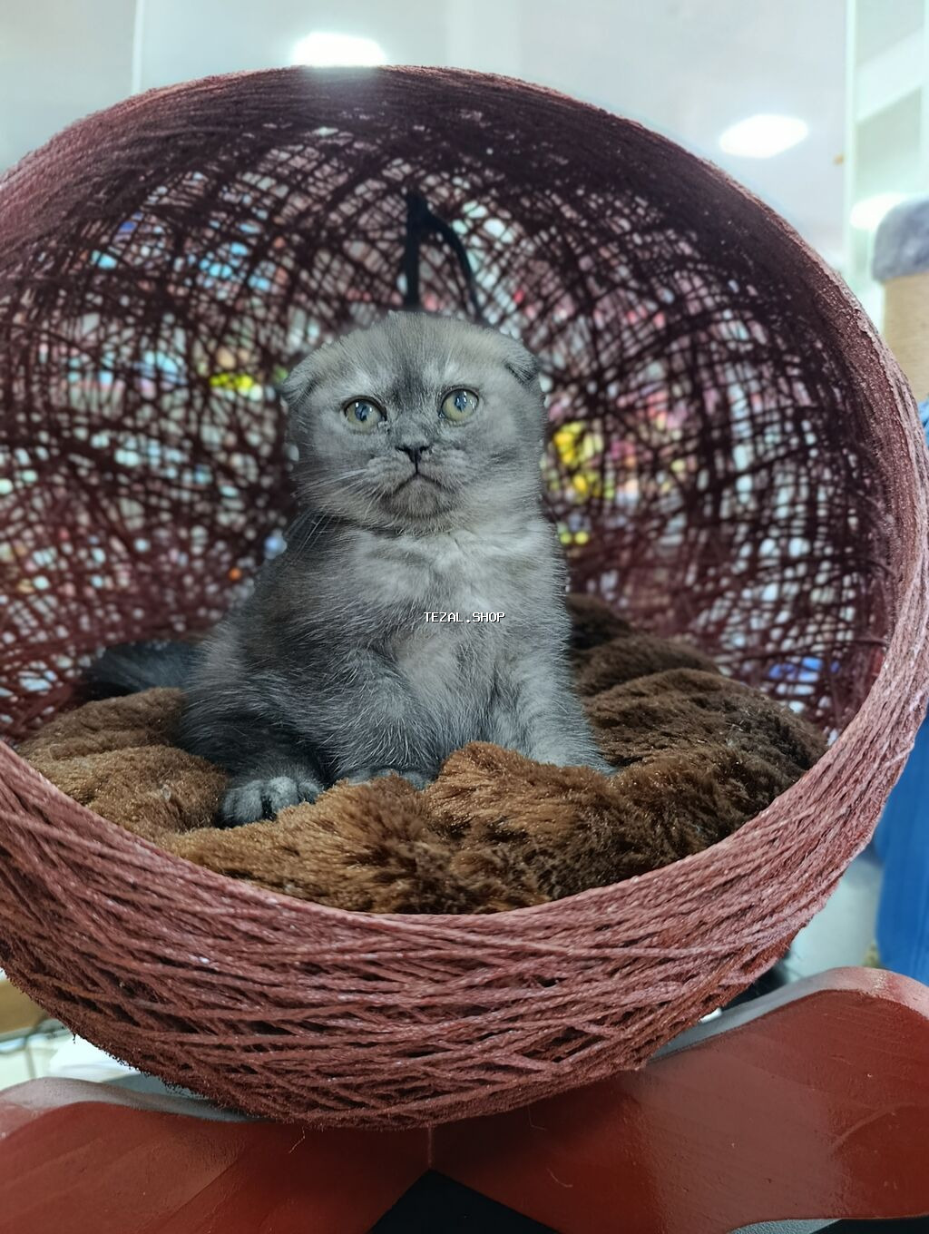 Rahat pişik beşiyi – sferik asma yataq - Material: toxunmuş iplə - şəkil 2