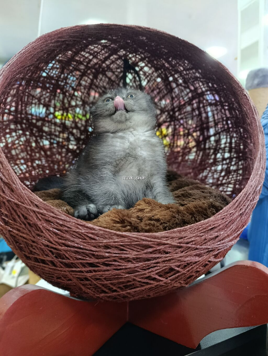 Rahat pişik beşiyi – sferik asma yataq - Material: toxunmuş iplə - şəkil 3