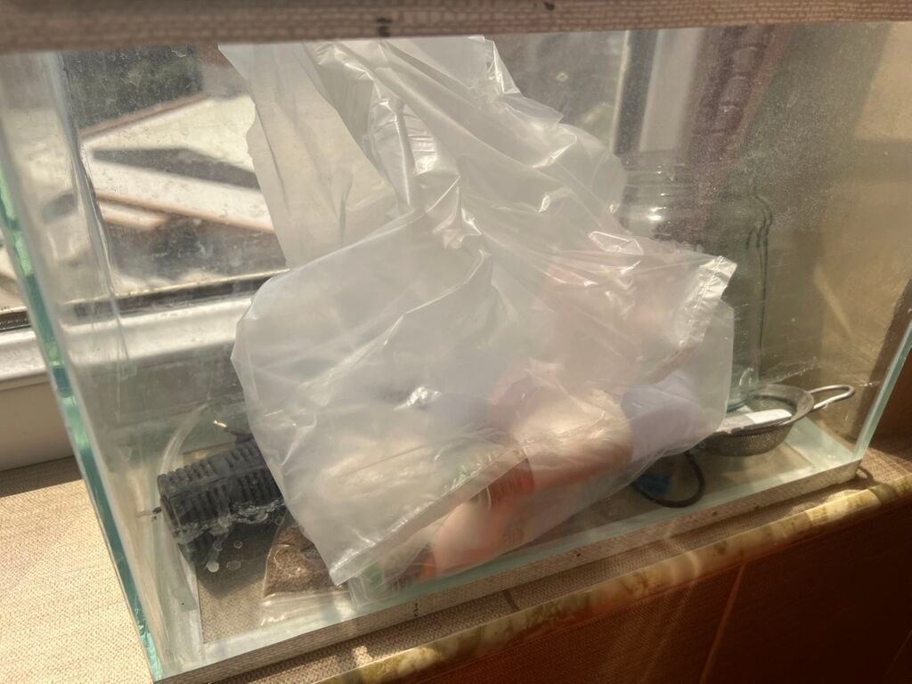 Şüşə akvarium tankı akvatik heyvanlar və ya bitkilər üçün şəffaf