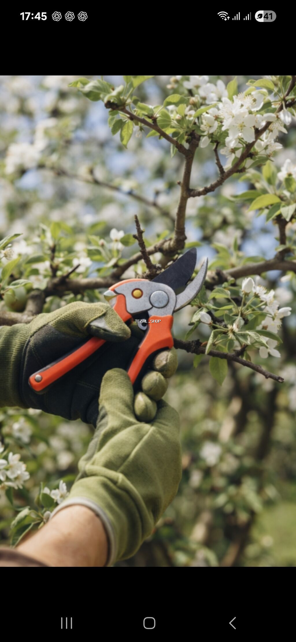 Salam aleykum. Baĝda yûngûl işler üçün qadin ve kişi i§ci teleb