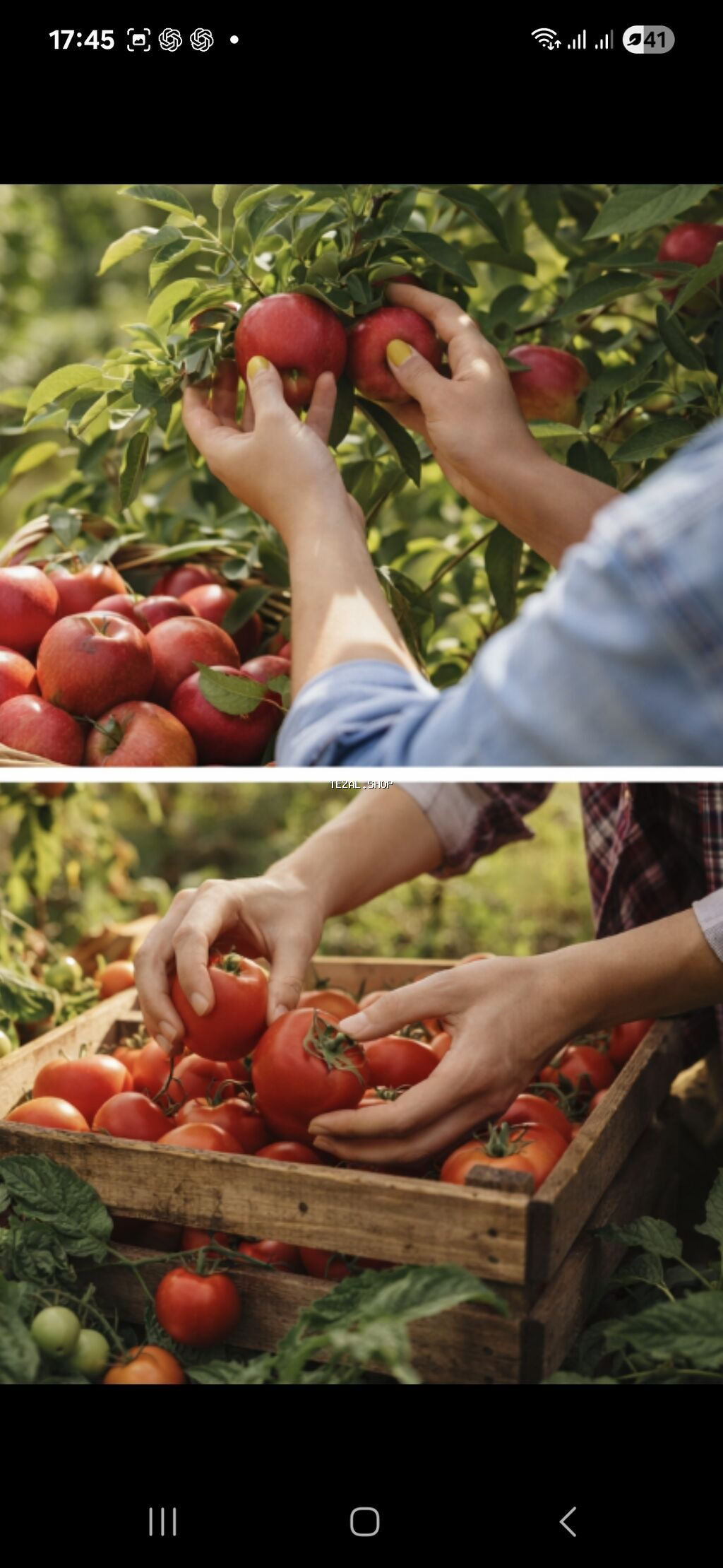 Salam aleykum. Baĝda yûngûl işler üçün qadin ve kişi i§ci teleb - şəkil 3