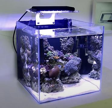 ZETLIGHT ZA1201-WiFi akvarium LED işıqlandırma sistemi - Güc: 19W - - şəkil 4