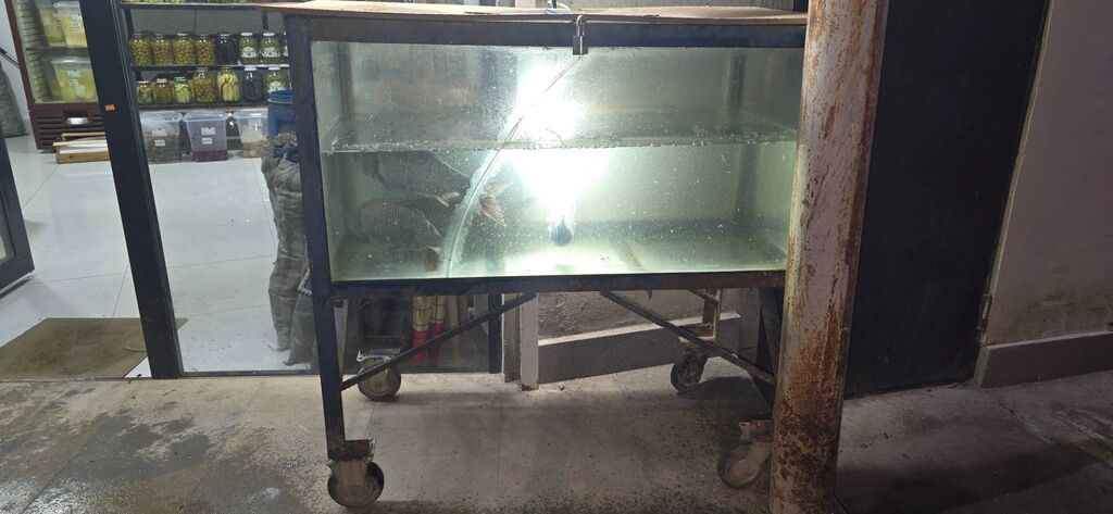 Baliq satişi üçün akvarium. Qalin şverler və almaturdan düzəlib