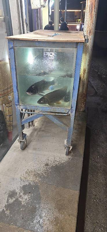 Baliq satişi üçün akvarium. Qalin şverler və almaturdan düzəlib - şəkil 3