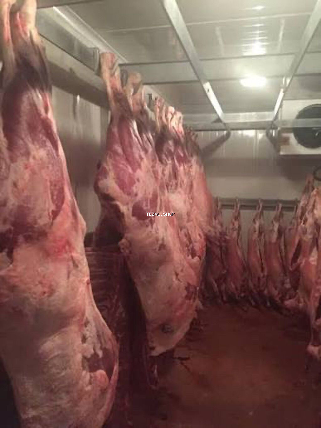 Halal kesim unvanlara catdirilma var sumuksuz dana eti 20 kiloqramdan - şəkil 4