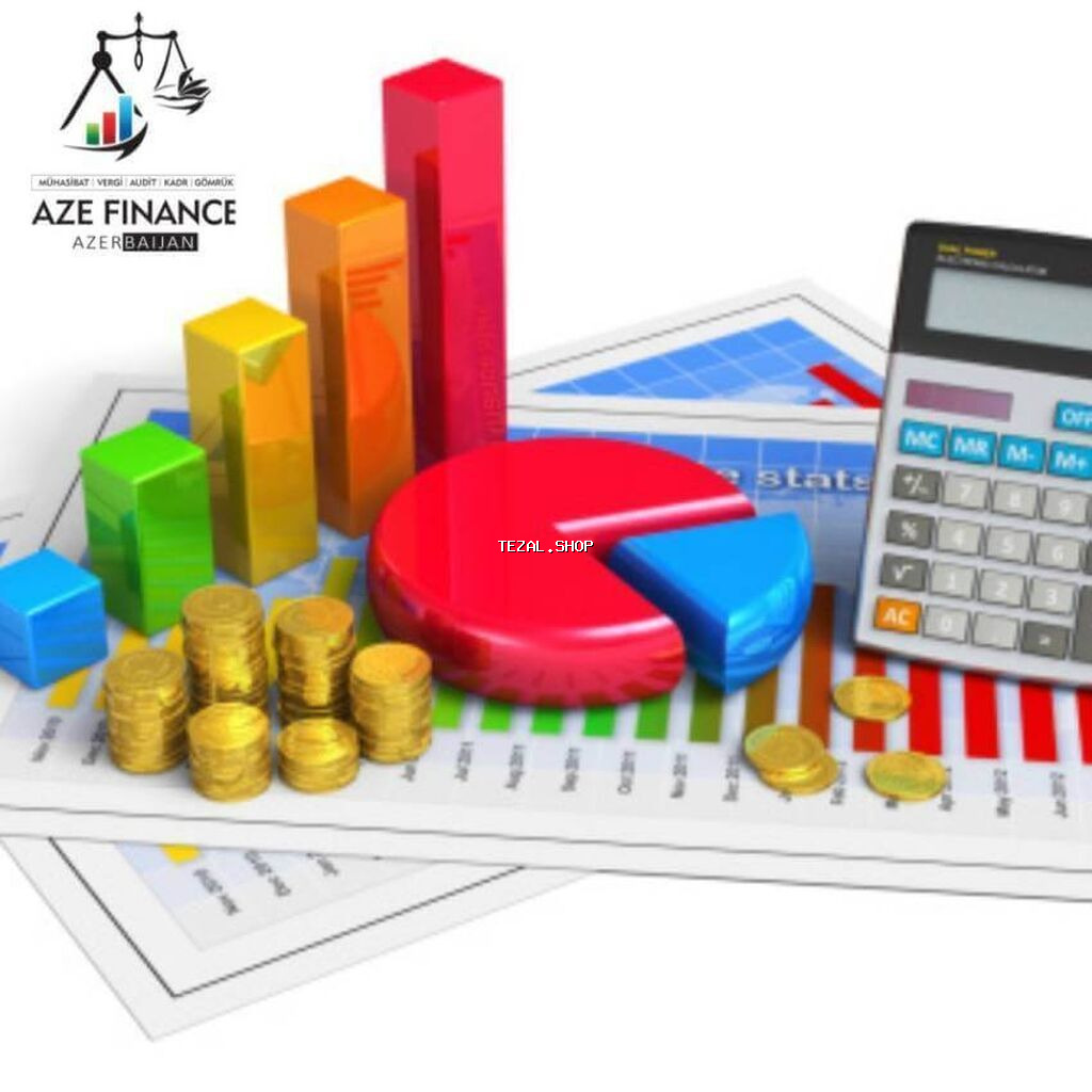 Mühasibat uçotu | Mühasibat uçotunun aparılması