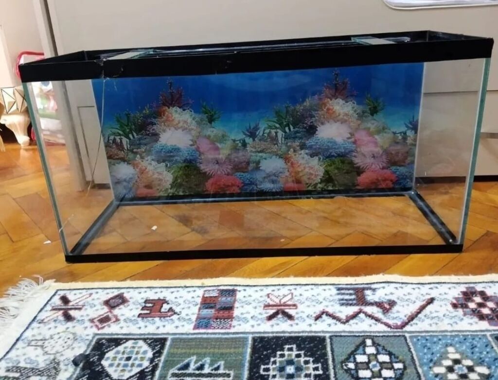 Akvarium satlir 120 manata alinib 100 litirdi hecmi qabaq wuwesi