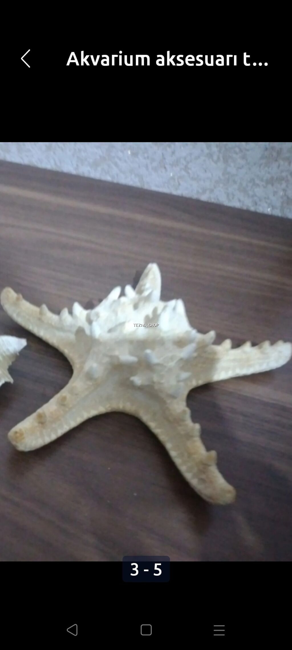 Akvarium aksesuarı tebiidi okeandan getirilib