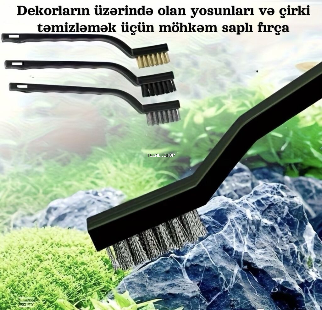Akvaryumda dekorların üzərində olan yosunları və çirki təmizləmək üçün