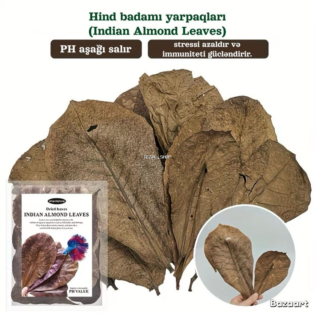 Hind badamı yarpaqları (Indian Almond Leaves) – akvarium üçün çox