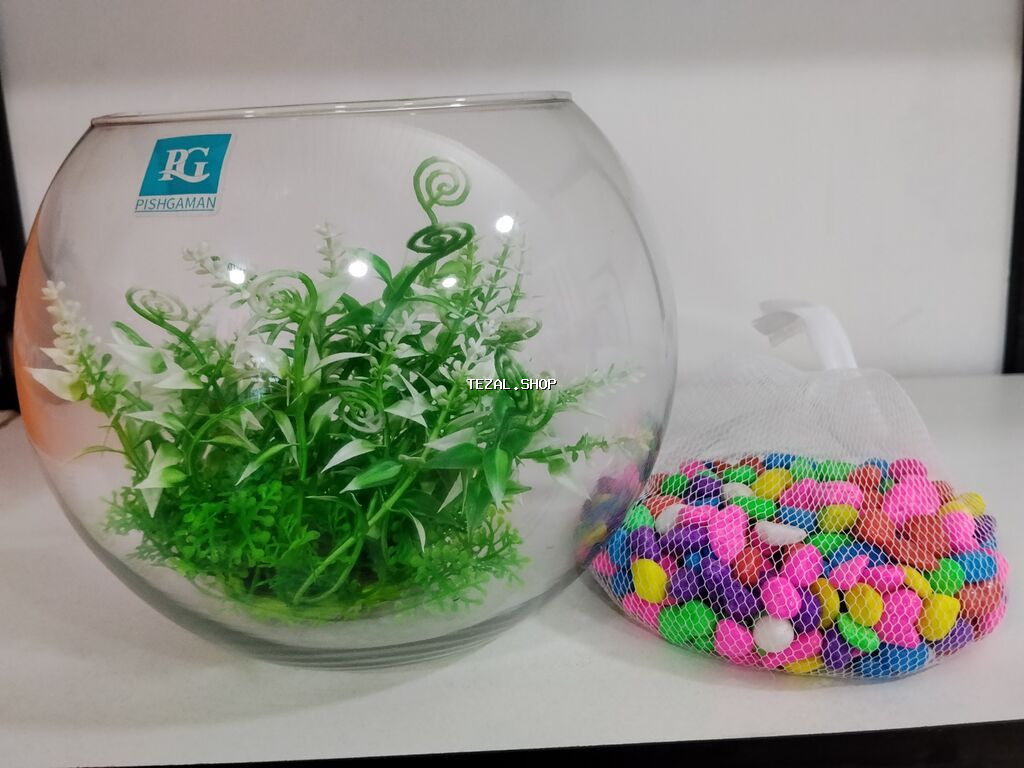 🐠 Möhtəşəm Betta Dəsti – Hazır Komplekt 🐠 Evdə sakitlik və gözəllik - şəkil 2