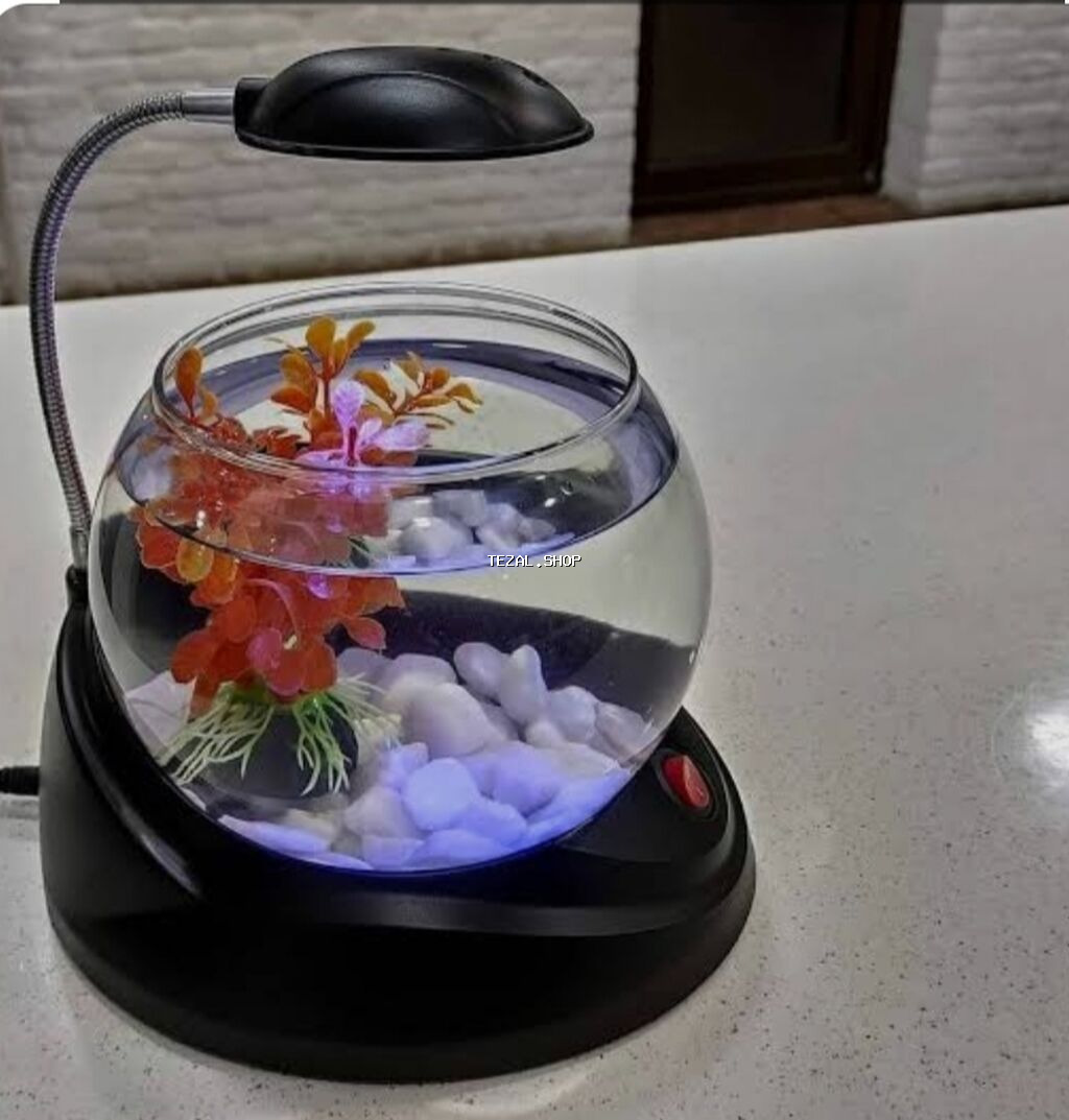 🐠 Möhtəşəm Betta Dəsti – Hazır Komplekt 🐠 Evdə sakitlik və gözəllik - şəkil 4