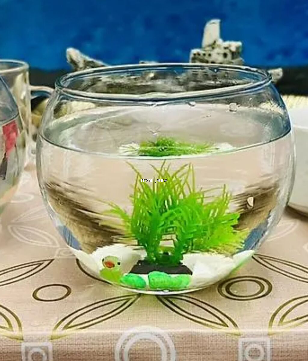 🐠 Möhtəşəm Betta Dəsti – Hazır Komplekt 🐠 Evdə sakitlik və gözəllik - şəkil 5