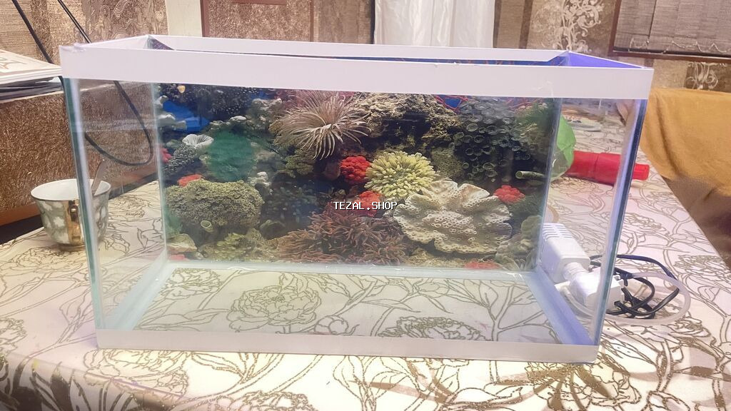 Akvariumlar - şəkil 3