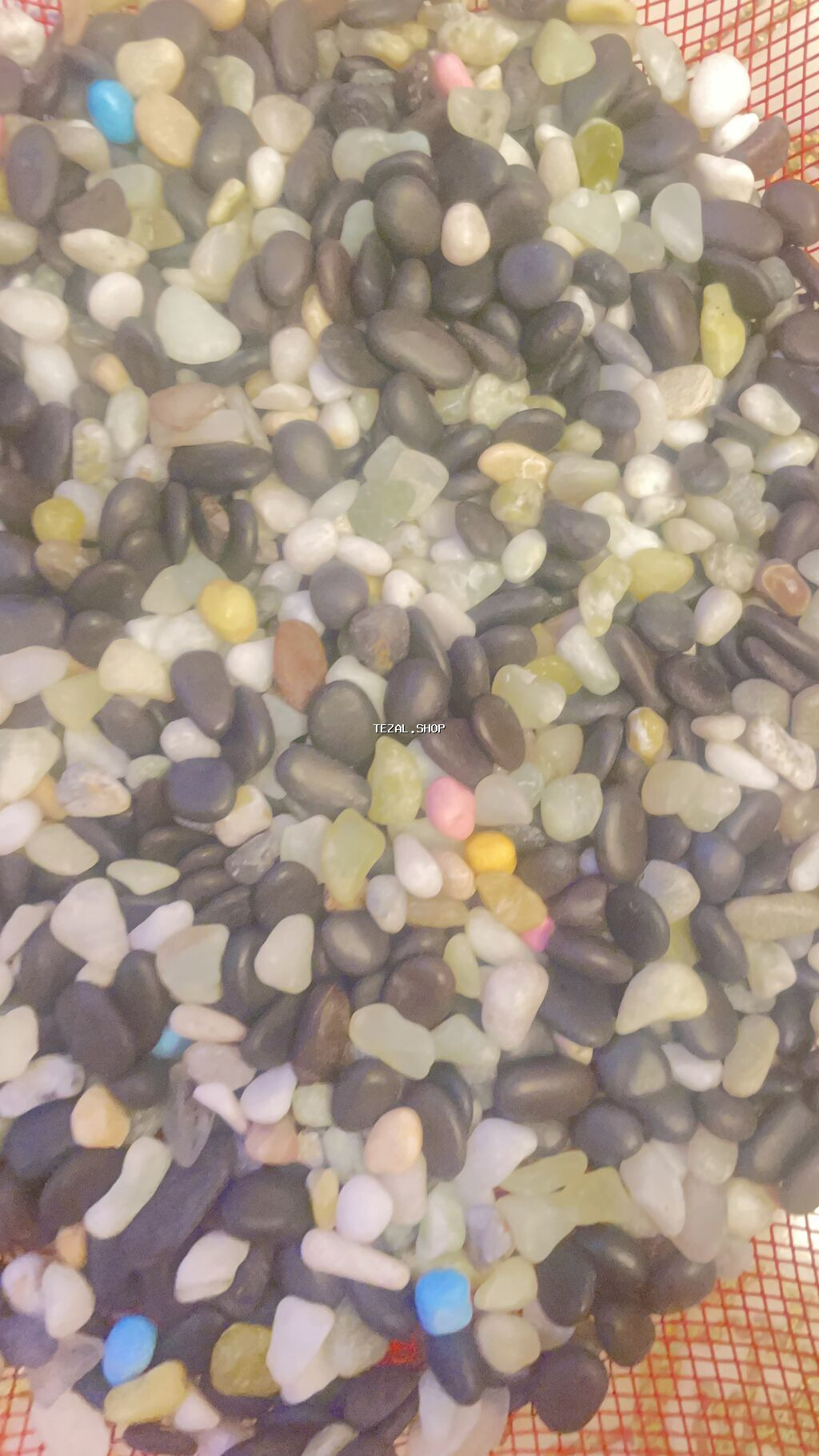 Akvariumlar - şəkil 4