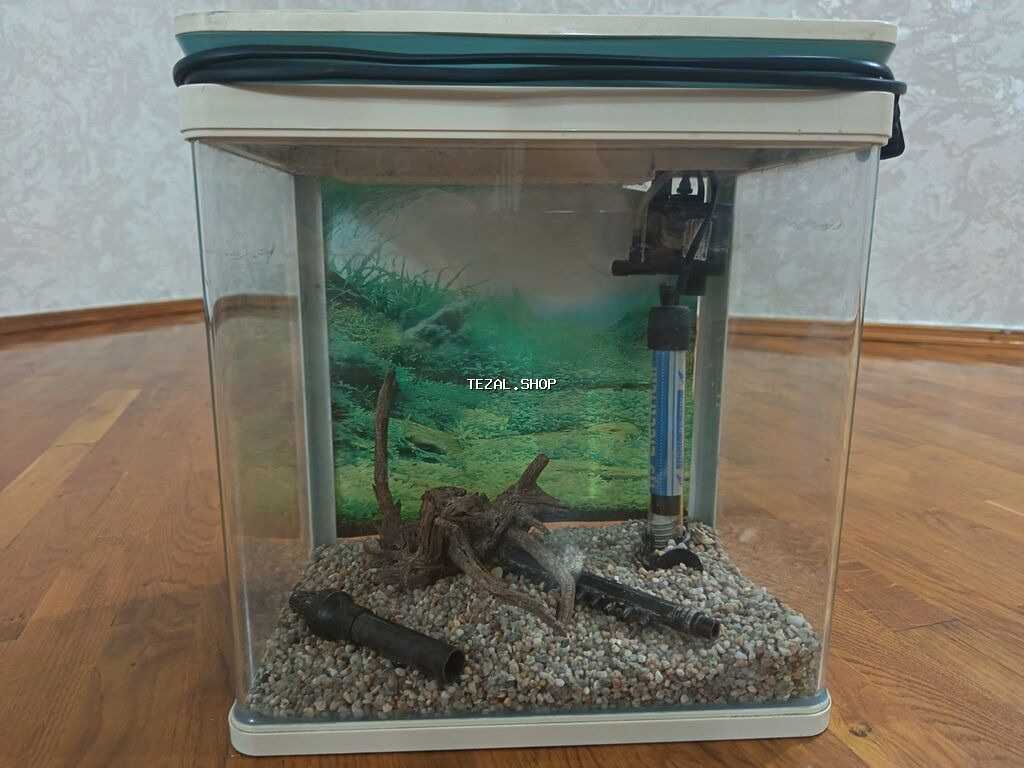 Akvarium - şəkil 3