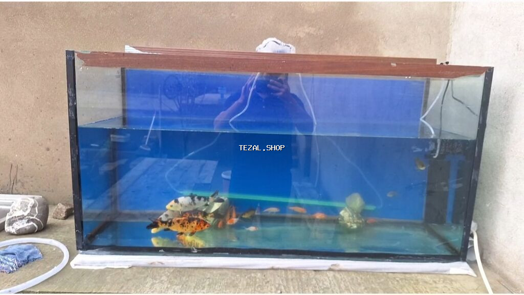 Dördbucaq akvarium, Balıqlarla birlikdə, 288 l, Ünvandan götürmə