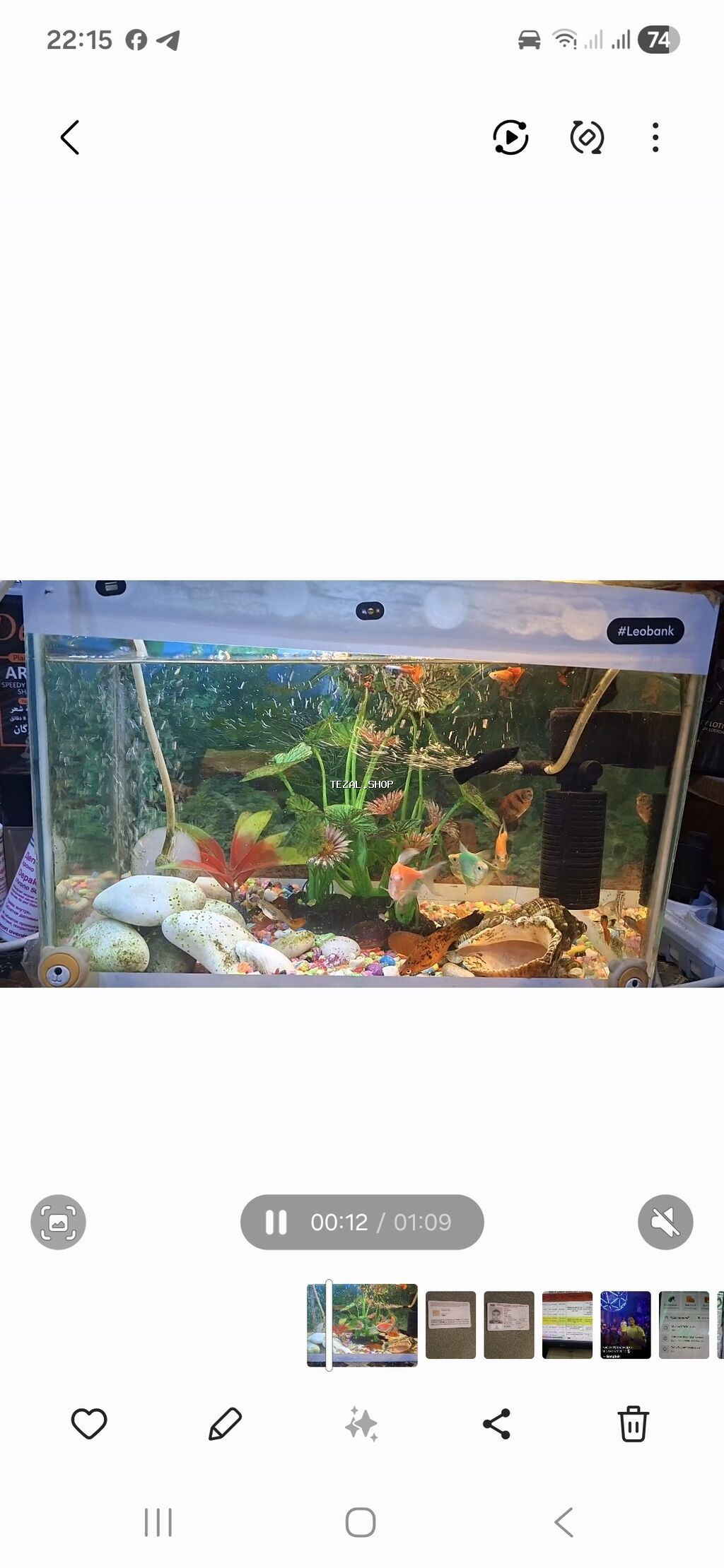 Akvaryum komplekti – dekorativ balıqlar və avadanlıqlarla - Şüşə