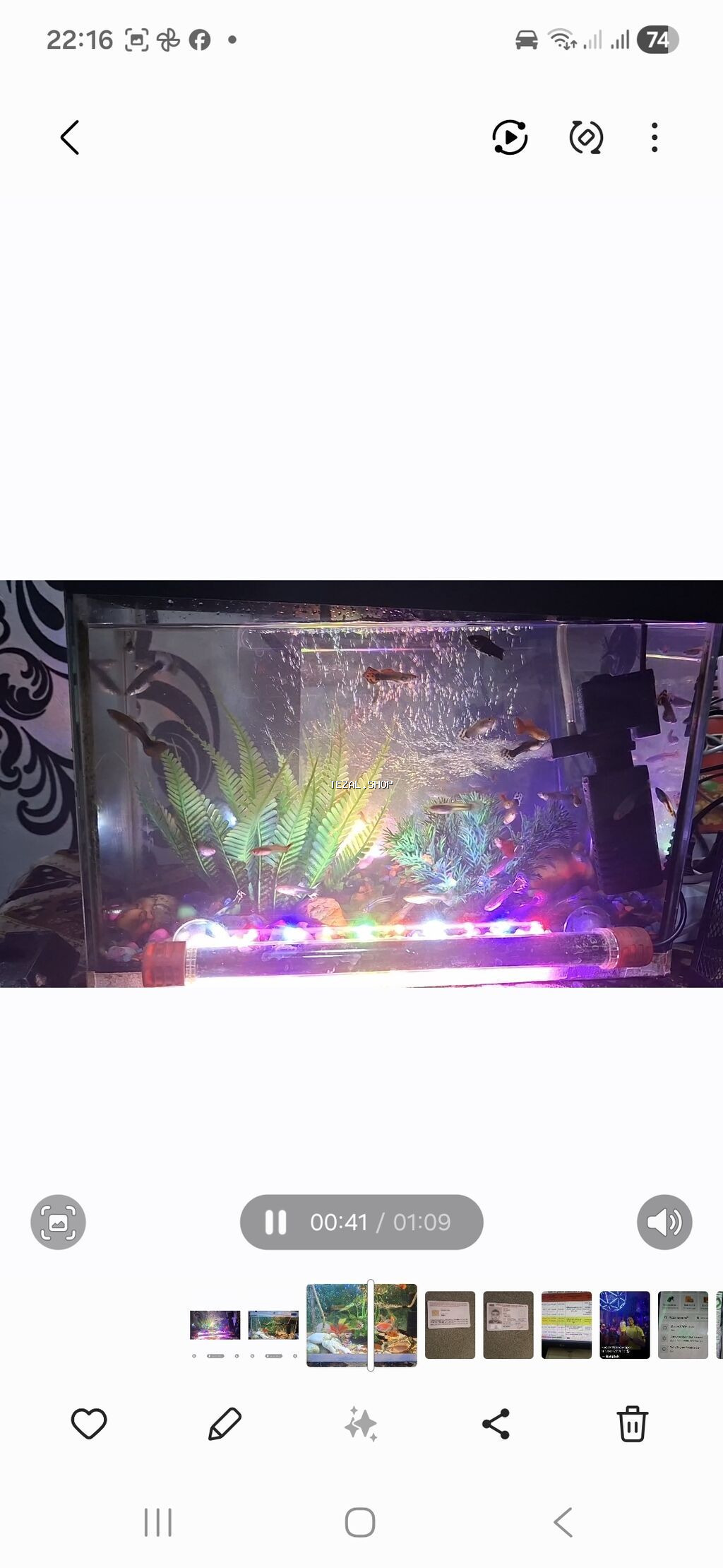 Akvaryum komplekti – dekorativ balıqlar və avadanlıqlarla - Şüşə - şəkil 2