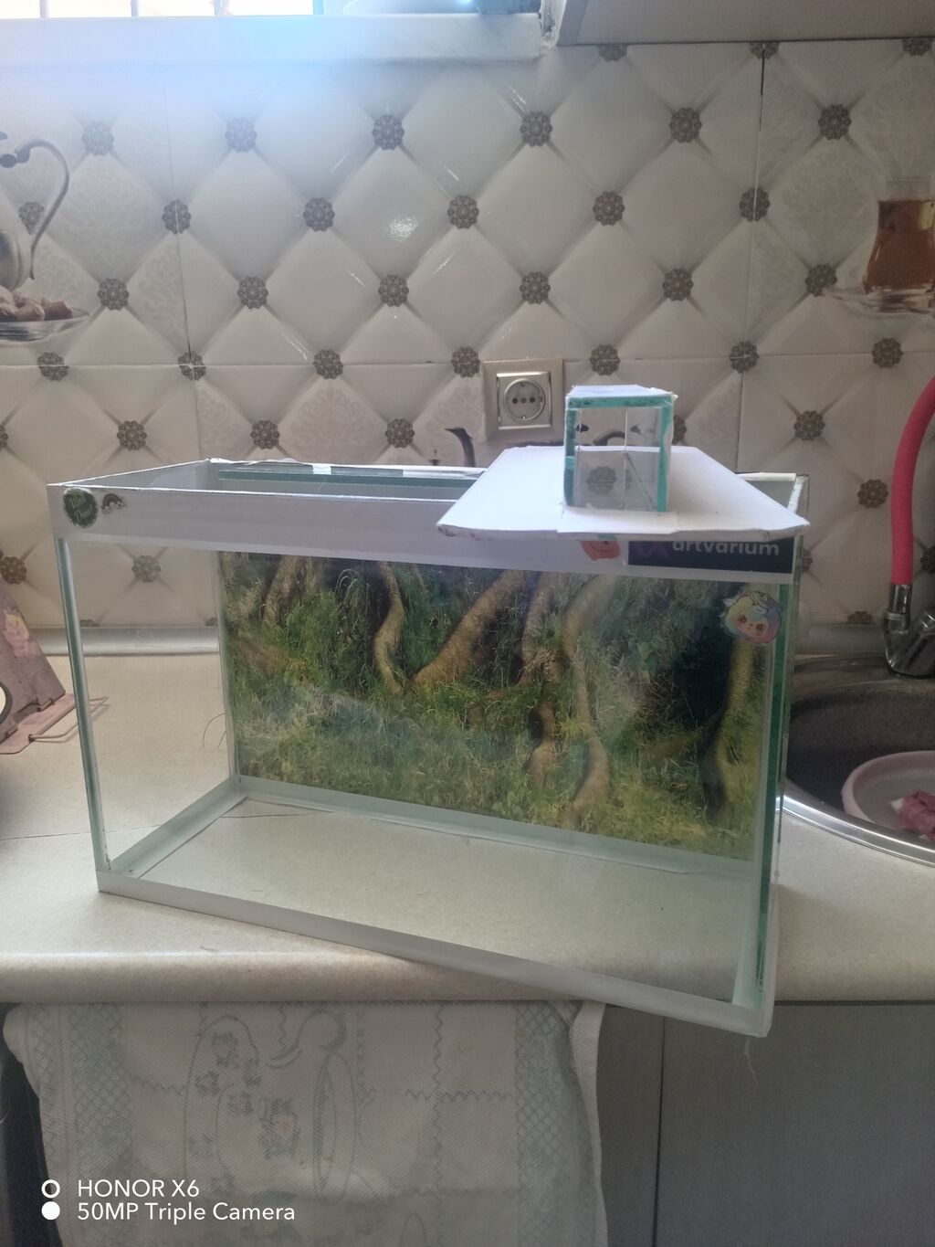 Şüşə akvarium Mənzərəli fonu var qiymət sondur - Şəffaf şüşədən