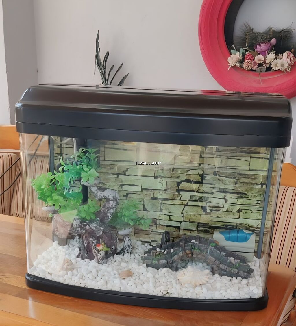 Ela veziyyetdedir. az iwlenib, icindeki ewyalarnan verilir