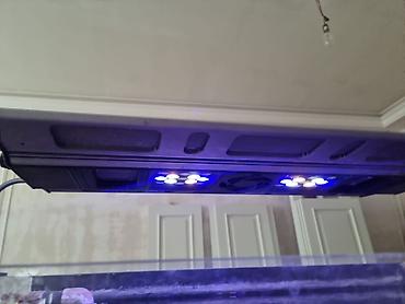 Akvarium dəsti Ölçülər: - En: 0,45 m - Uzunluq: 0,70 m - Hündürlük - şəkil 4