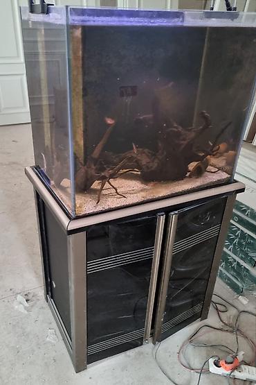 Akvarium dəsti Ölçülər: - En: 0,45 m - Uzunluq: 0,70 m - Hündürlük - şəkil 3