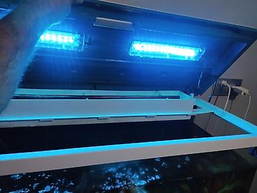 Akvaryum dəsti – şkaflı, işıqlı - Geniş şüşə akvaryum, üst qapaqlı - şəkil 3