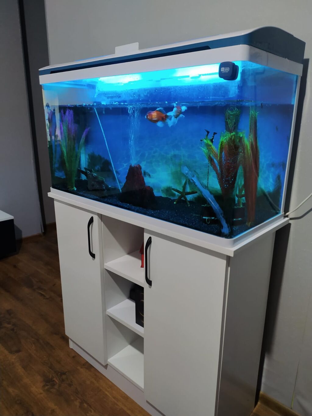 Akvaryum dəsti – şkaflı, işıqlı - Geniş şüşə akvaryum, üst qapaqlı