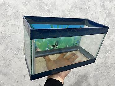 Dördbucaq akvarium, Boş, 7 l - şəkil 5